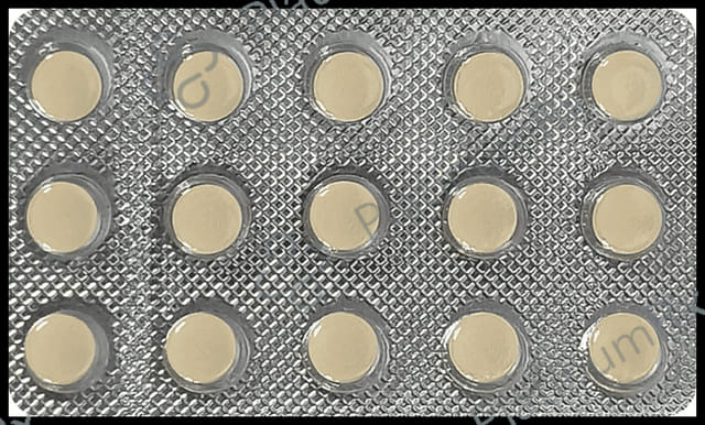 Endeavours Furic 40mg Tablet 15s