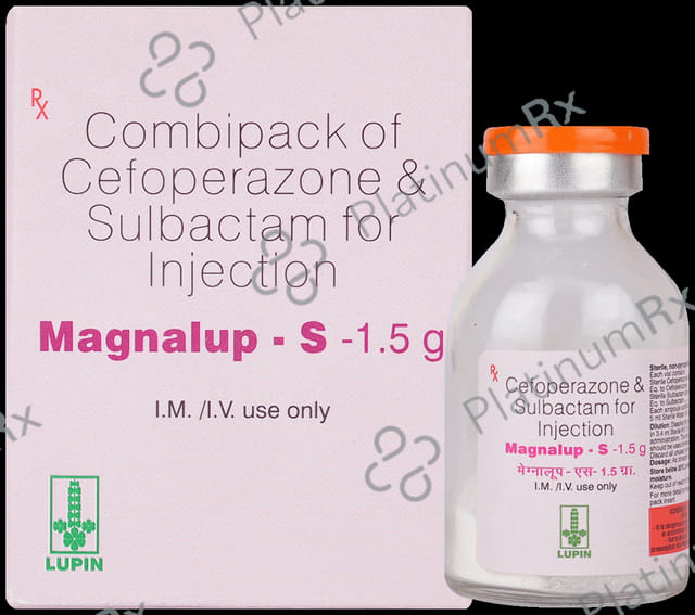Magnalup S 1000mg/500mg Injection