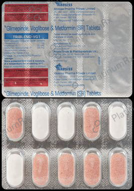 Triblend VG1 1/500/0.2mg Tablet SR 10s