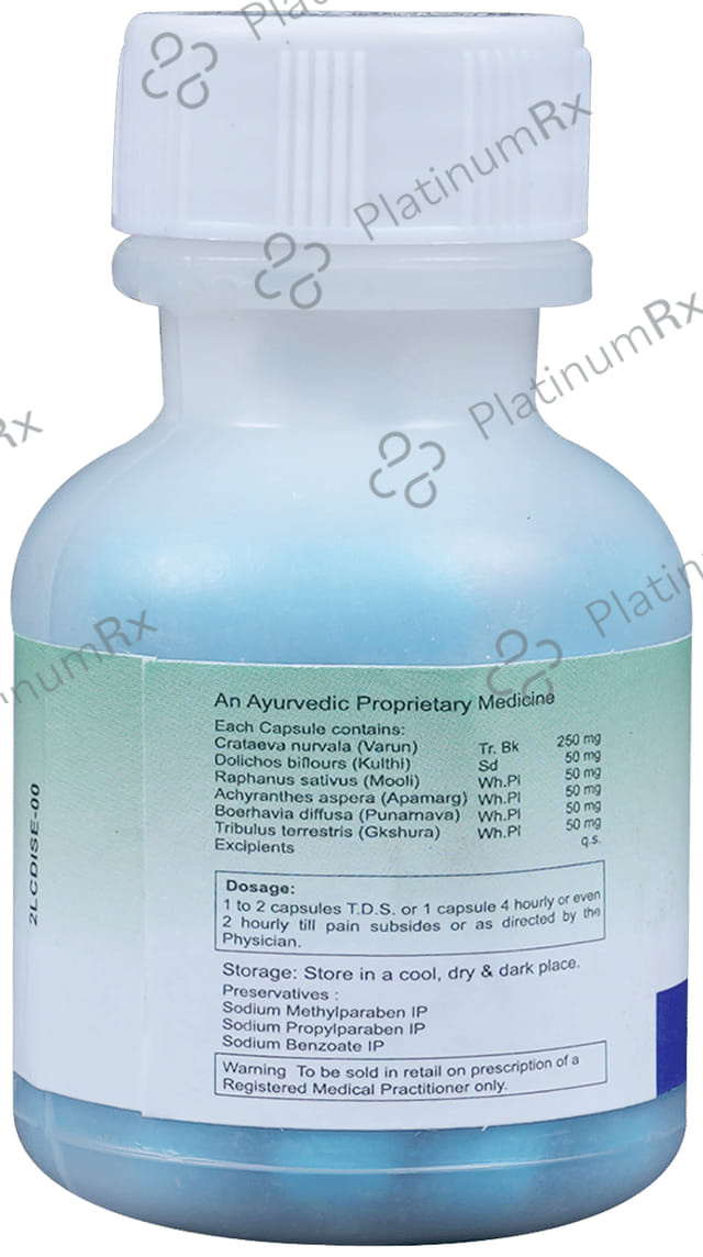 Distone Capsule