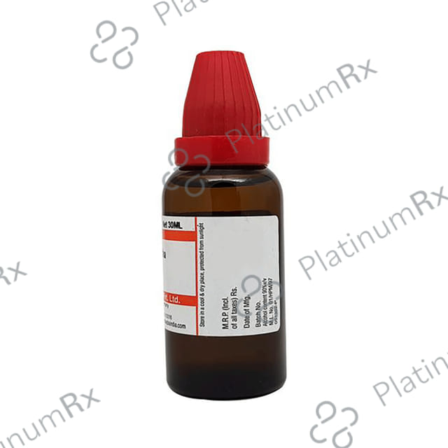 Dr Willmar Schwabe India Cydonia Vulgaris Mother Tincture Q