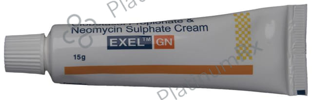 Exel GN Cream 15gm