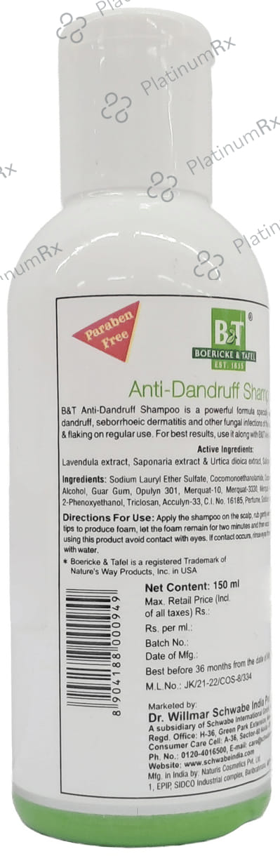 Boericke and Tafel Anti-Dandruff Shampoo