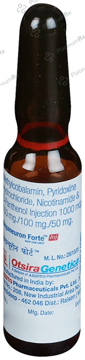 Meganeuron Forte Injection 2ml