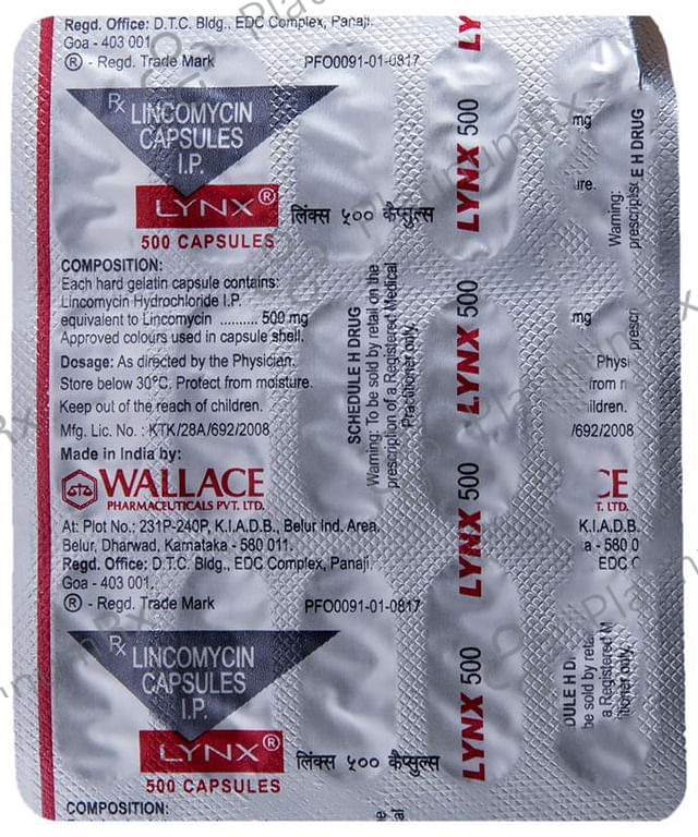 Lynx 500mg Capsule 15s