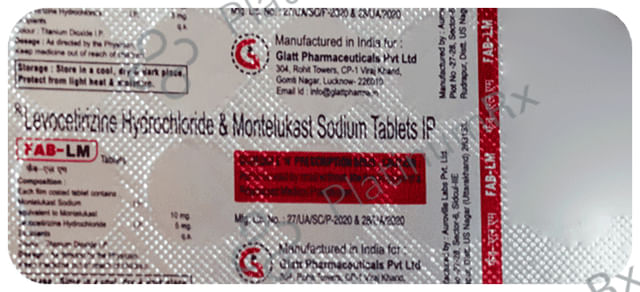 Fab LM 5/10mg Tablet 10s