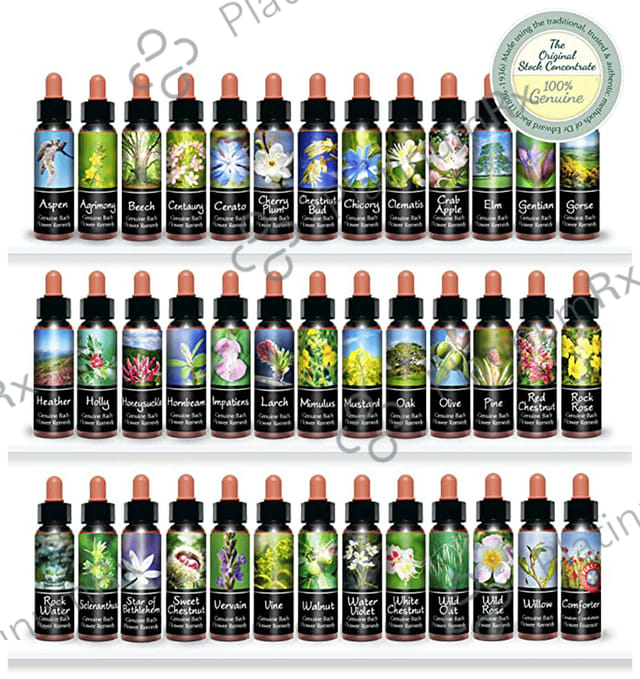 Healing Herbs Bach Flower Remedies Concentrate Stock Kit (10ml Each)