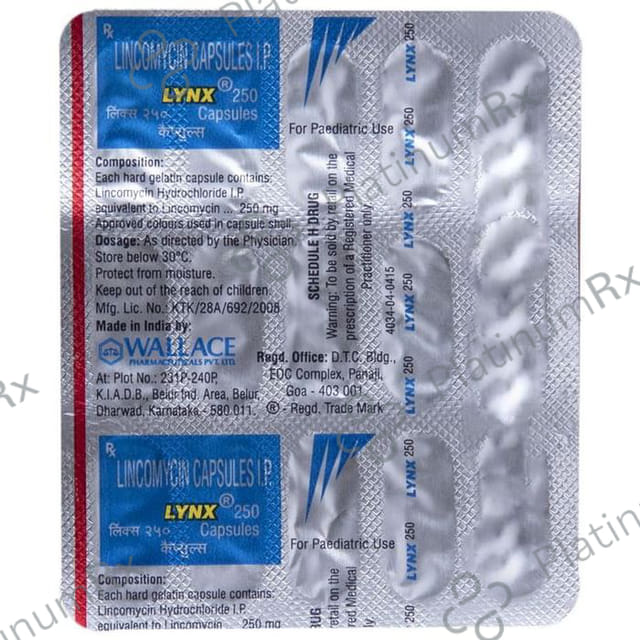 Lynx 250mg Capsule 15s