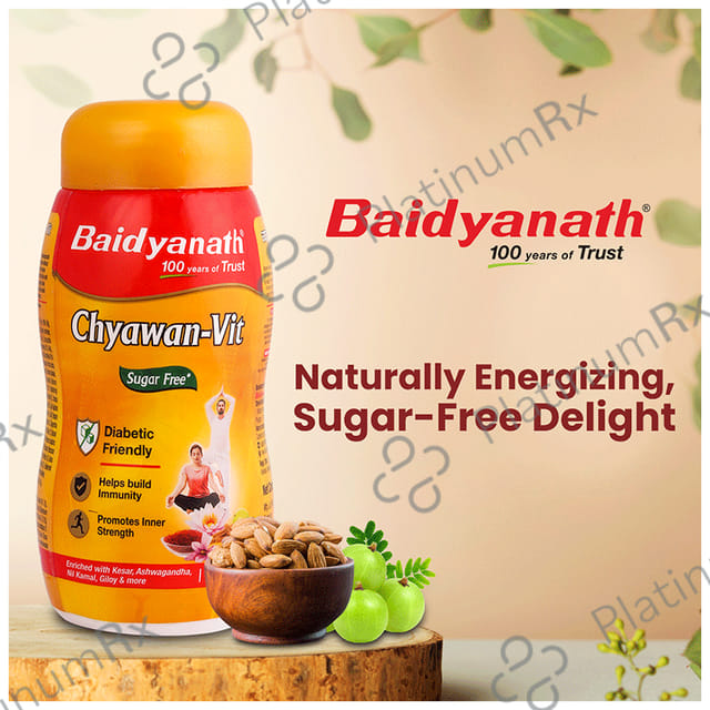 Baidyanath Noida Chyawan Vit Sugarfree Chyawanprash 500gm