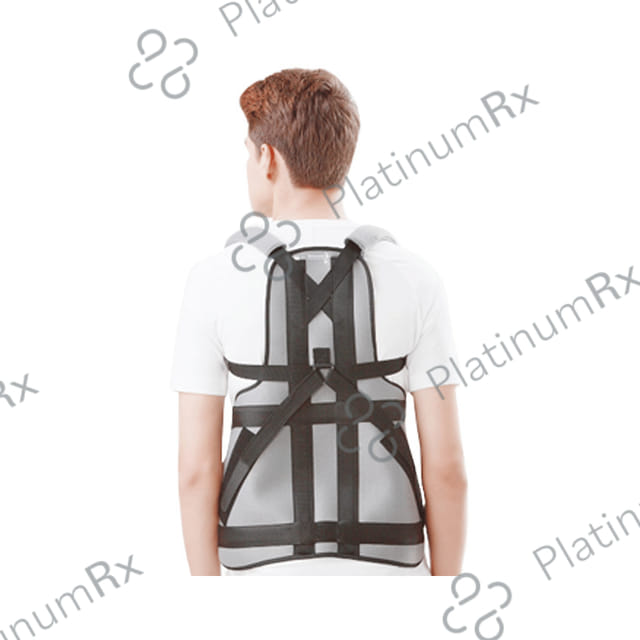 Dyna 1411 Thoraco Lumbar Appliance Nova (Taylor’s Brace) XL Grey