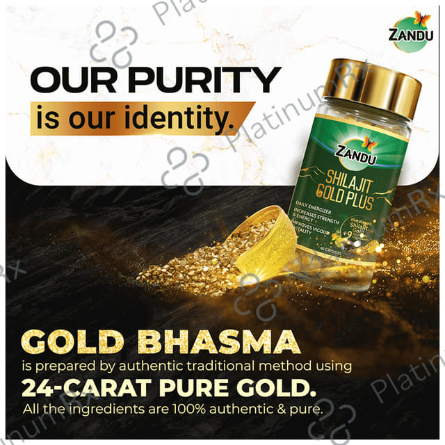 Zandu 500mg Shilajit Gold Plus Capsule 60s