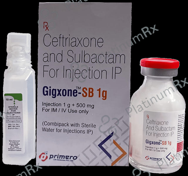 Gigxone SB 1.5gm Injection 1s