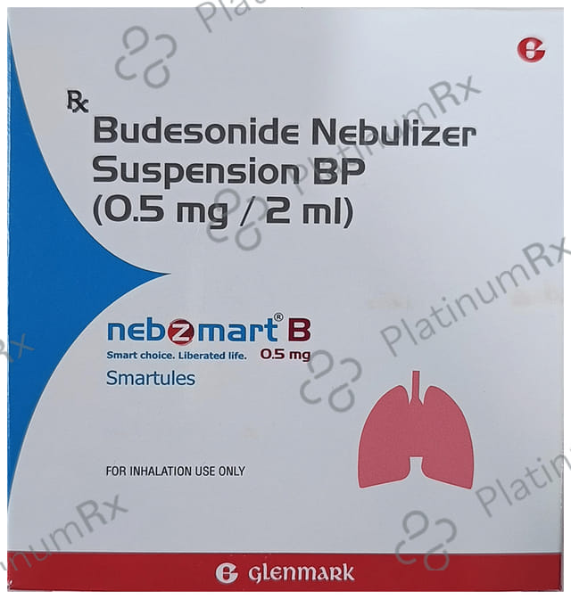 Nebzmart B 0.5mg Smartules Respules 8X2ml