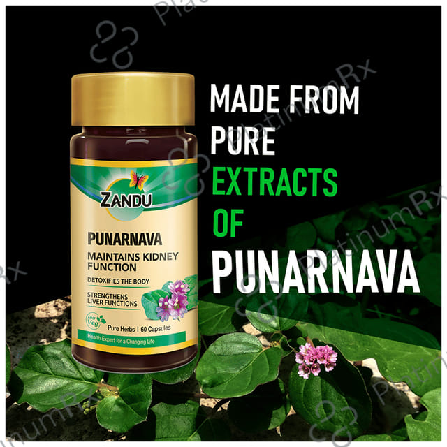 Zandu Punarnava Capsule