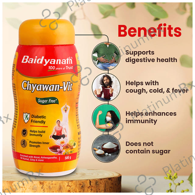 Baidyanath Noida Chyawan Vit Sugarfree Chyawanprash 500gm