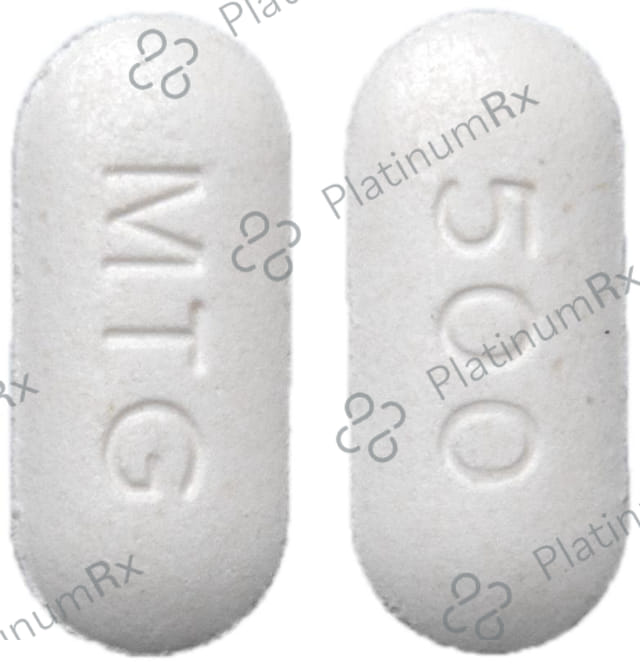 Metlong 500mg Tablet SR 10s
