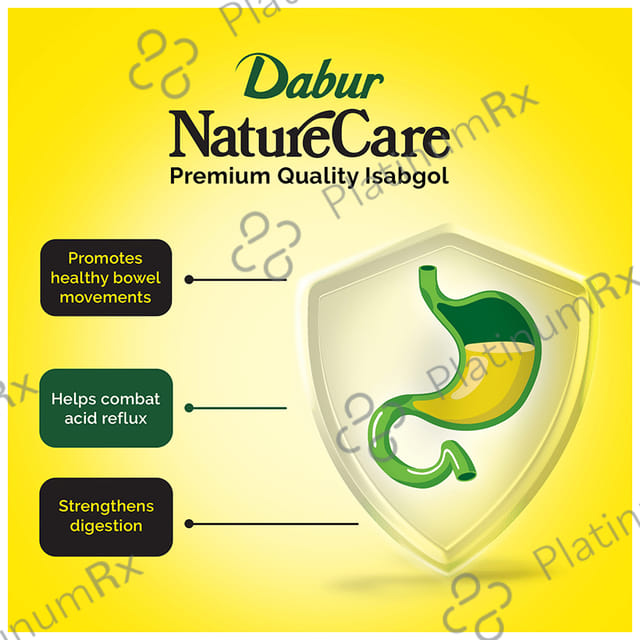 Dabur Nature Care Isabgol Powder - Eases Constipation & Supports Smooth Bowel Movement 375 gm