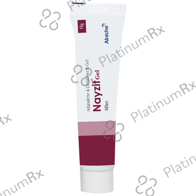 Nayzit Gel 15gm