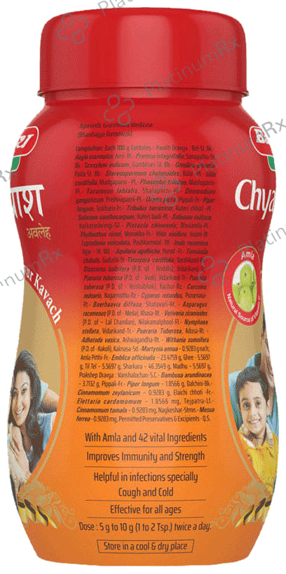 Baidyanath Nagpur Chyawanprash Special 450gm