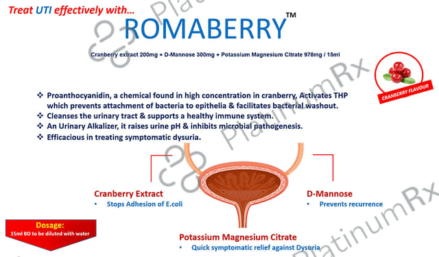 Roman Pharma Romaberry Flavour Syrup 200ml