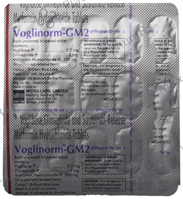 Voglinorm GM 2/500/0.2mg Tablet SR 15s
