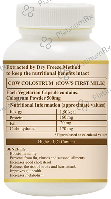 Immunesmart Capsule 60 Capsule