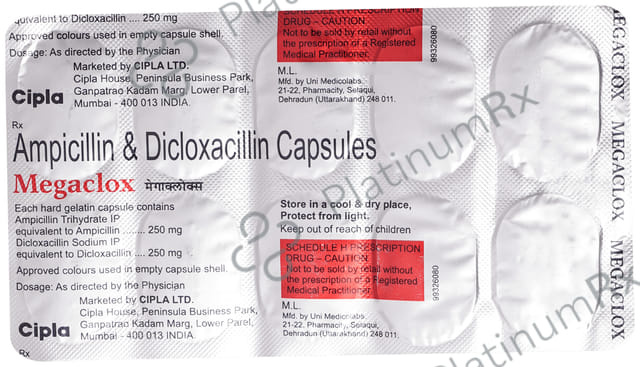 Megaclox 250/250mg Capsule 10s