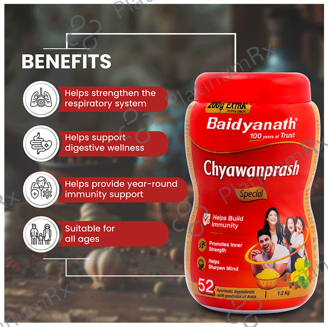 Baidyanath Noida Chyawanprash Special 1200gm
