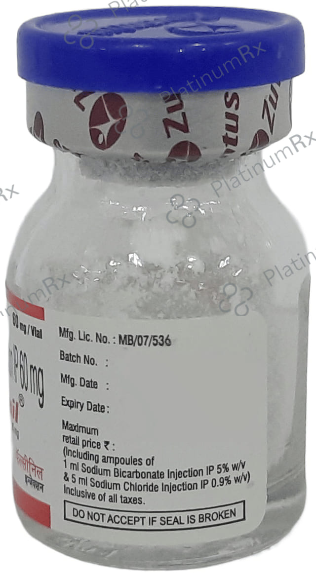 Falcinil 60mg Injection 1ss