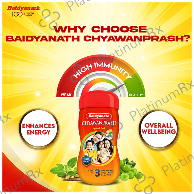 Baidyanath Chyawanprash Special 950gm