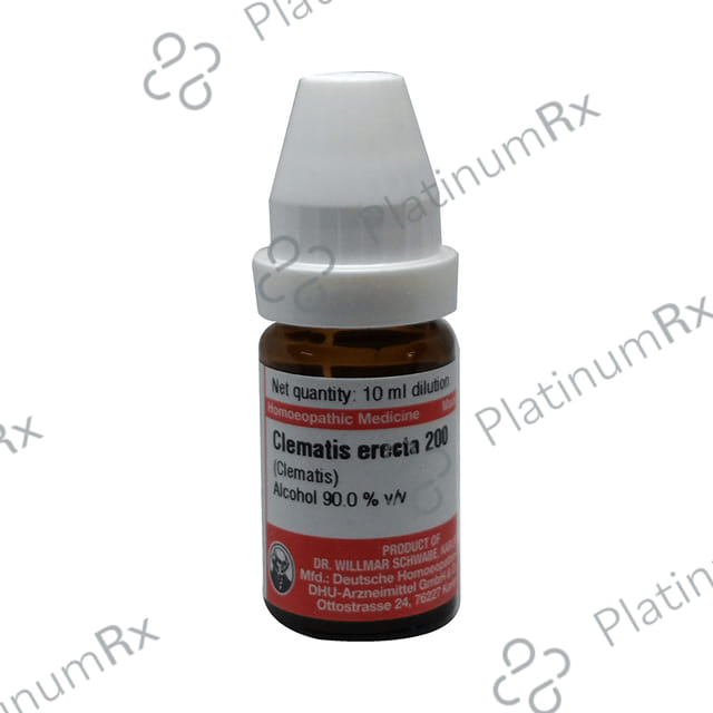Dr Willmar Schwabe Germany Clematis Erecta Dilution 200