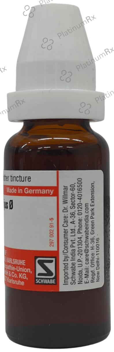 Dr Willmar Schwabe Germany Chelidonium Majus Mother Tincture Q