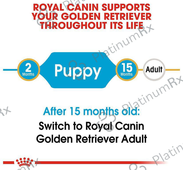 Royal Canin Golden Retriever Pet Food Puppy 12 kg