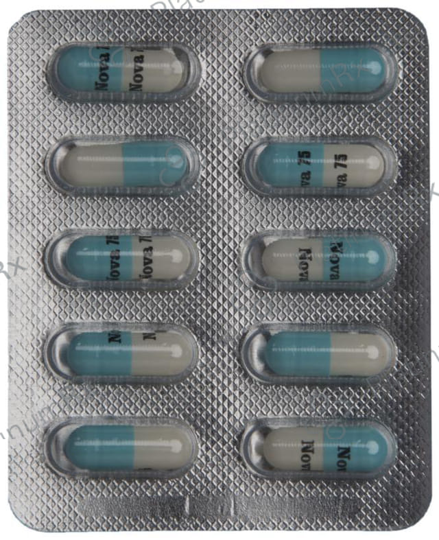 Nova 75 Capsule