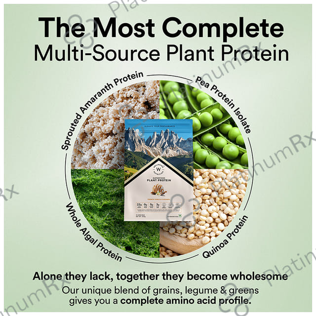 Wellbeing Nutrition Superfood Plant Protein for Muscle Growth & Metabolism - Flavour Powder French Vanilla Caramel