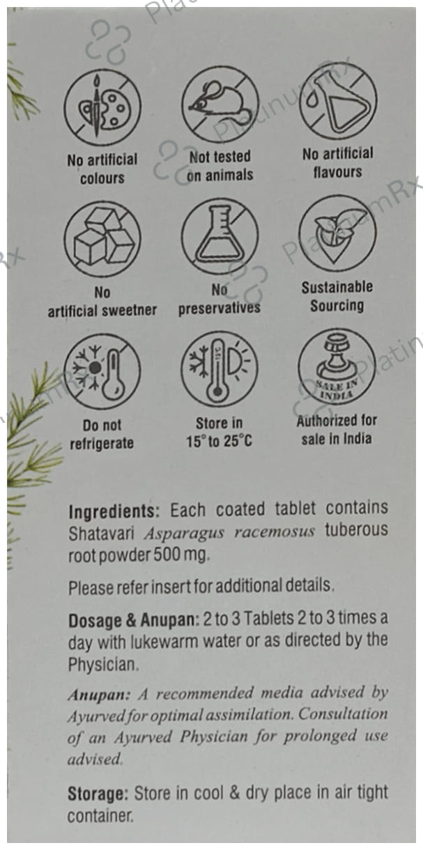 Dhootapapeshwar Satavari Tablet