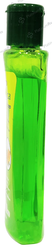 LDD Bioscience Arnica Shampoo 500 ml