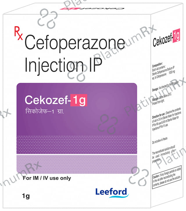 Cekozef 1gm Injection 1s