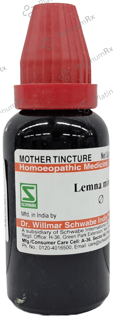 Dr Willmar Schwabe India Lemna Minor Mother Tincture Q