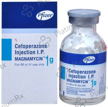 Magnamycin 1000mg Injection 1s