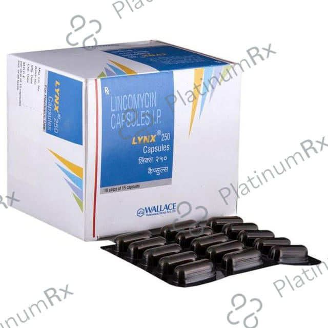 Lynx 250mg Capsule 15s