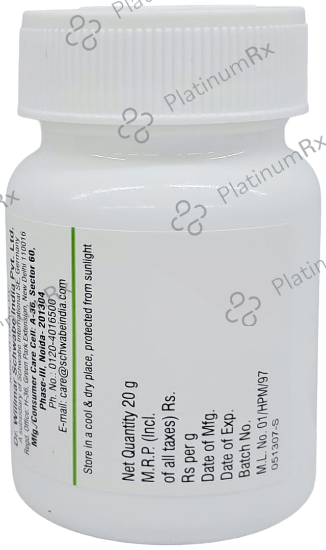 Dr Willmar Schwabe India Syzygium Jambolanum Trituration Tablet 1X