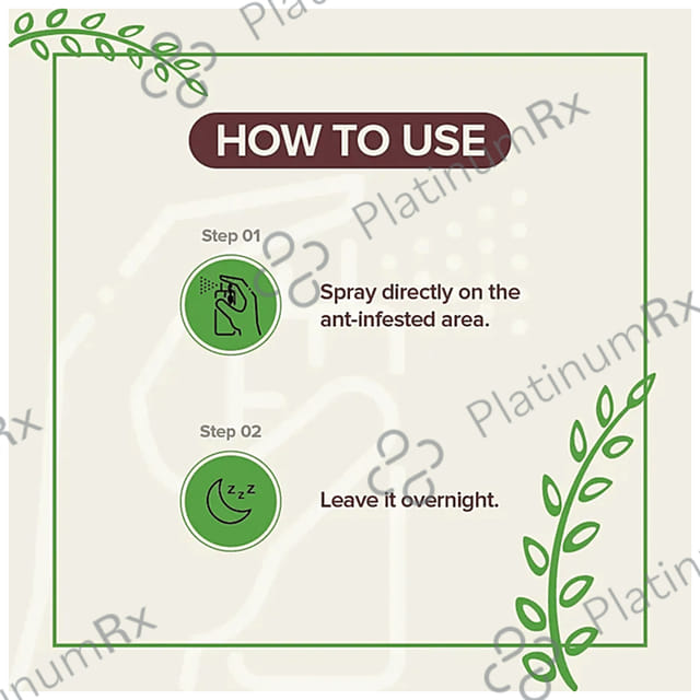 BB Home Herbal Ant-Free Spray Chemical Free