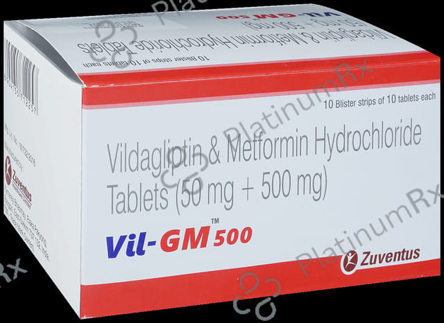 Vil GM 500mg Tablet 10s