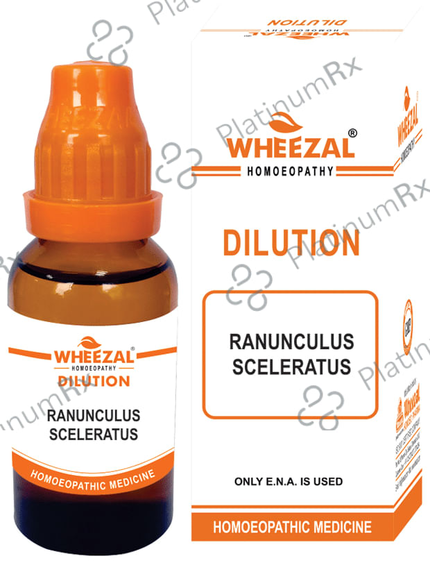 Wheezal Ranunculus Sceleratus Dilution 3X