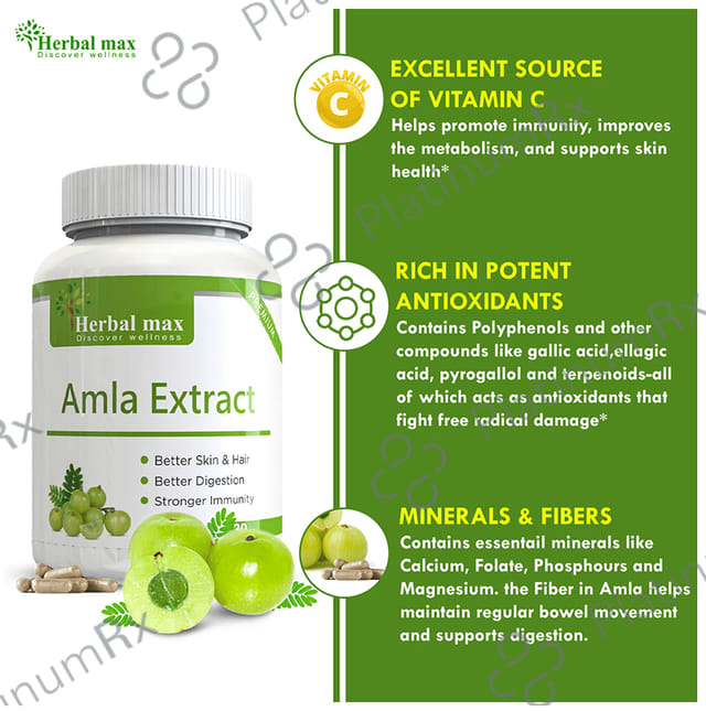 Herbal Max Amla Extract Capsule