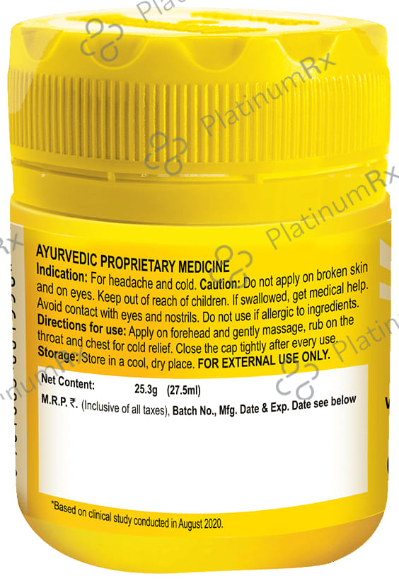 Amrutanjan Extra Power Aromatic Action Pain Balm 27 ml