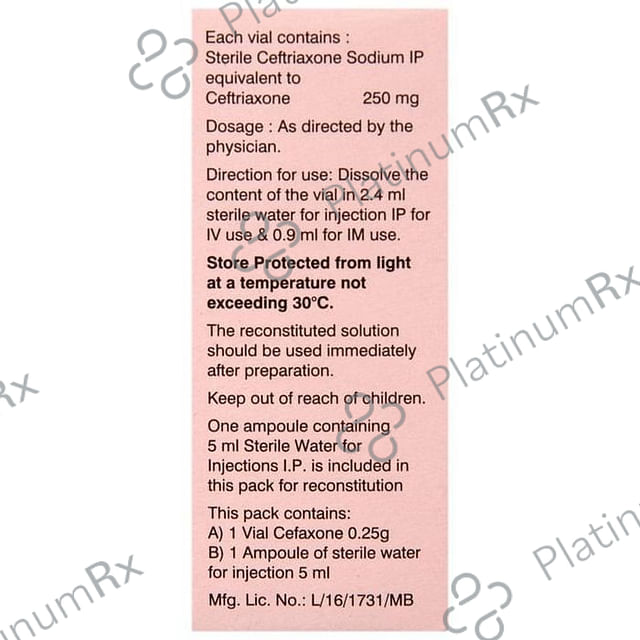 Cefaxone 0.25g Injection