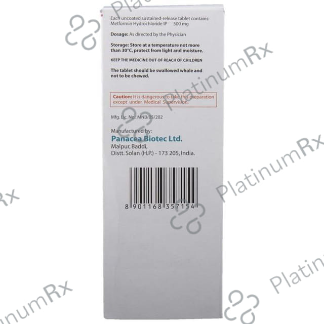 Metlong 500mg Tablet SR 10s