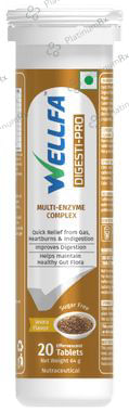 Wellfa Digesti Pro Jeera Sugar Free Effervescent Tablet 20s
